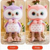 جغد چشم تیله ای با چشمهایی هفت