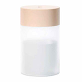 رطوبت ساز خودرو